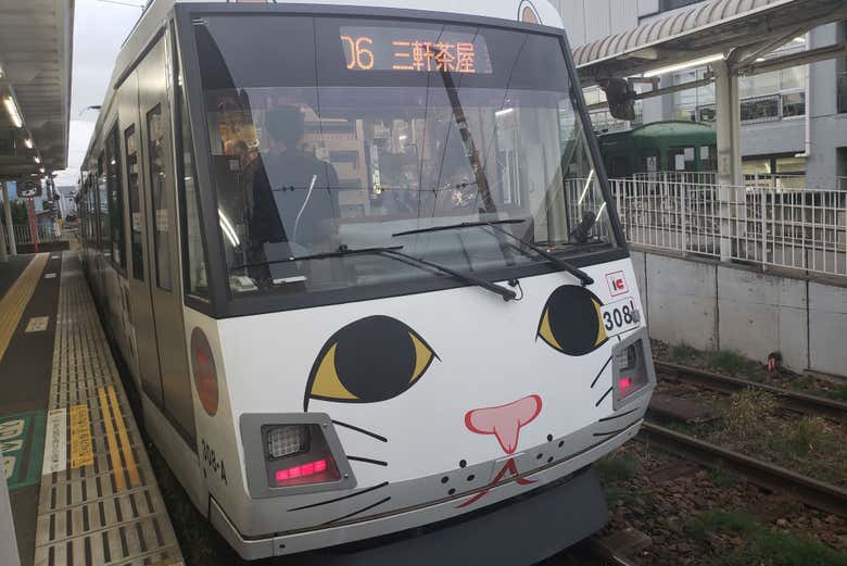 Tren de los gatos