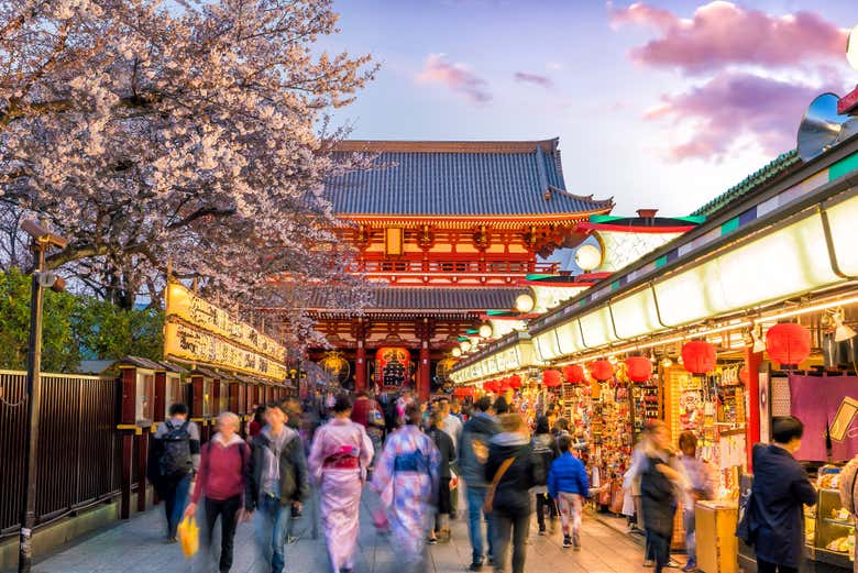 Plongez dans la vie japonaise !