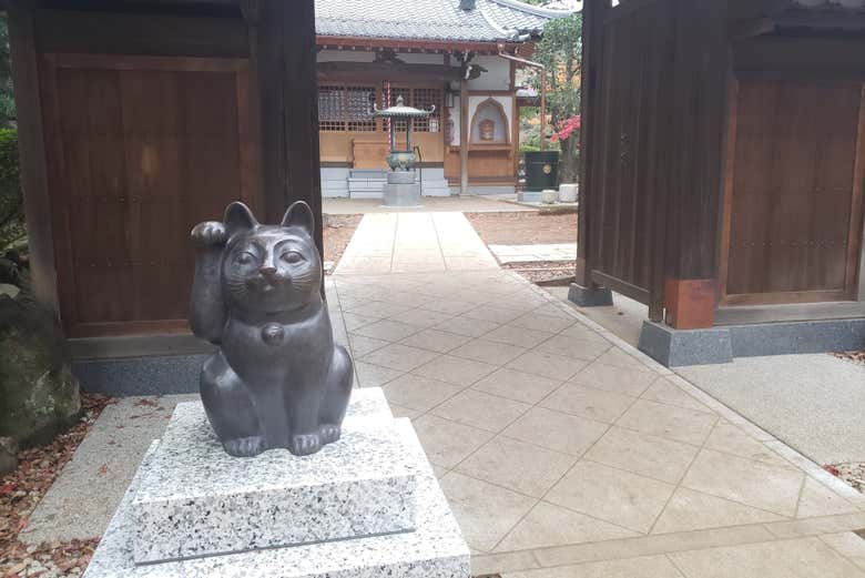 Visitando Gotokuji