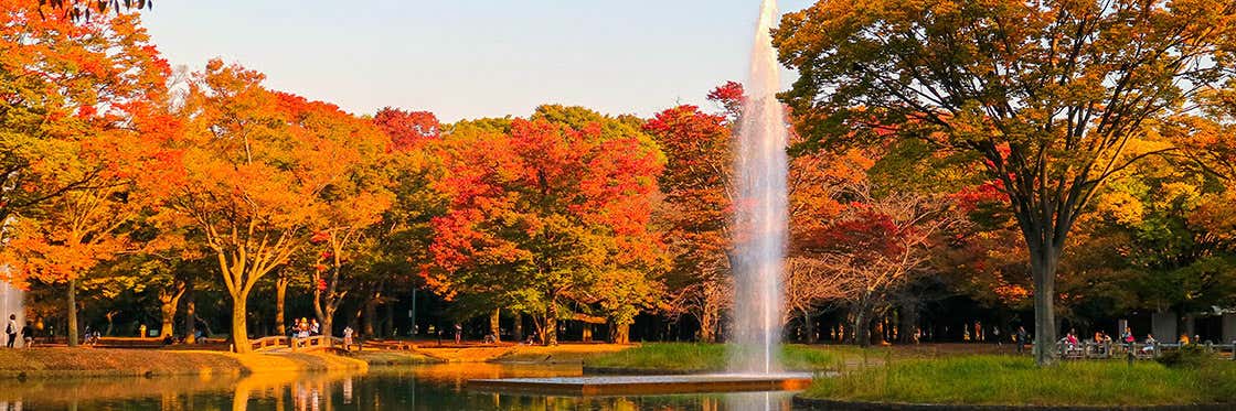 Yoyogi Park