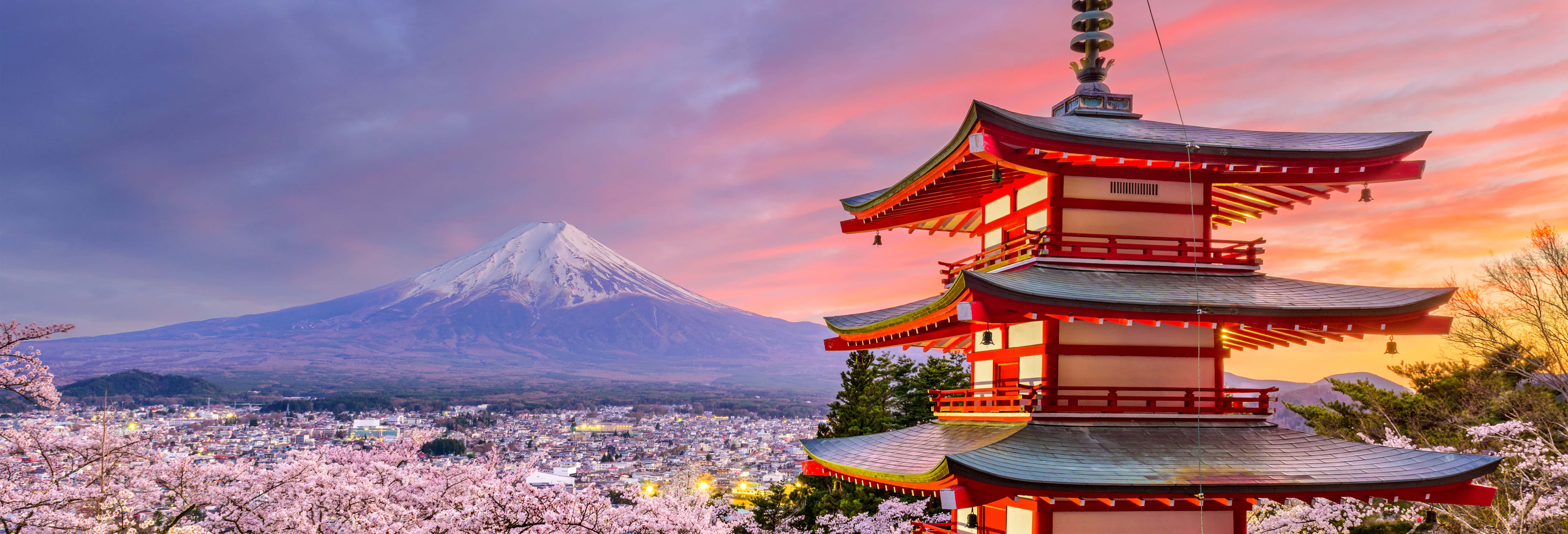 Escursioni di un giorno a Tokyo