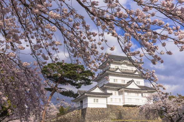 Mount Fuji with Mishima Sky Walk + Odawara Castle and Lake Ashi