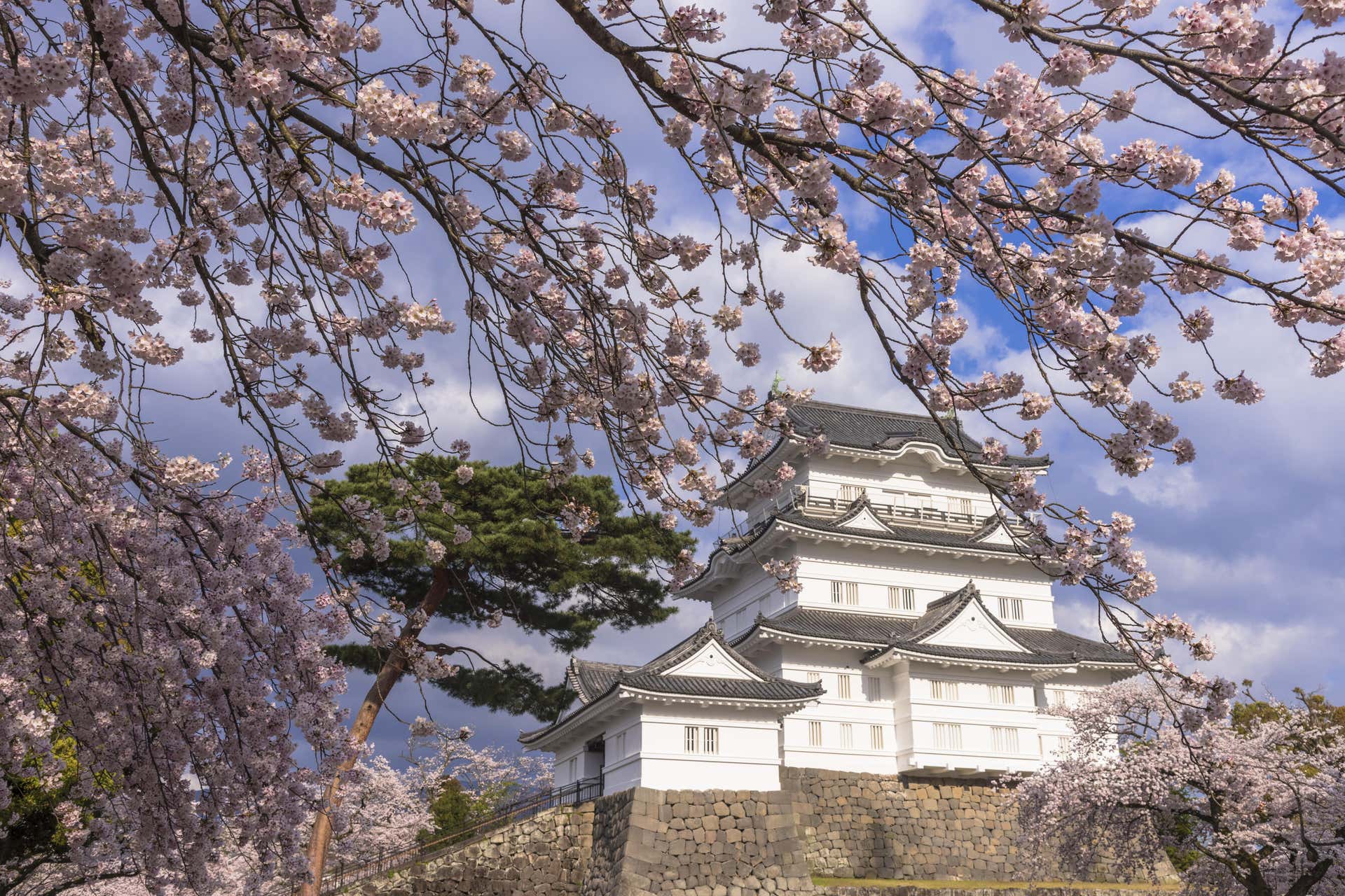Monte Fuji, Castello di Odawara e lago Ashi