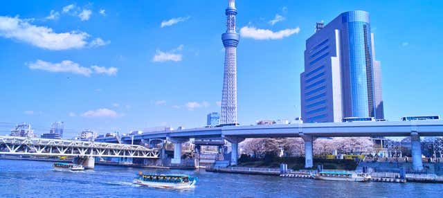 Paseo en barco por Tokio