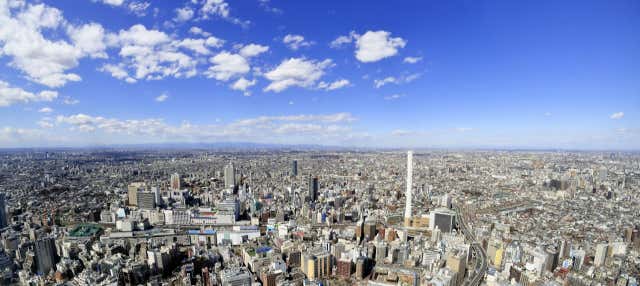 Billet pour Sunshine 60 Observatory Tenbou Park