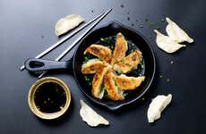 Taller privado de gyozas en Tokio