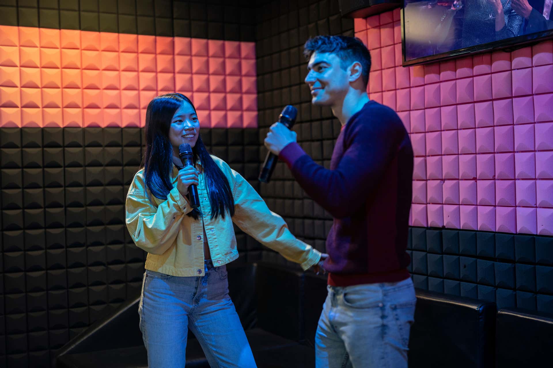 Tour del karaoke a Tokyo