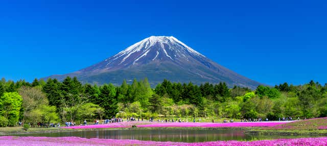 Excursão ao Monte Fuji + Colheita de fruta