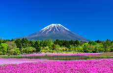 Excursión al monte Fuji + Recogida de fruta