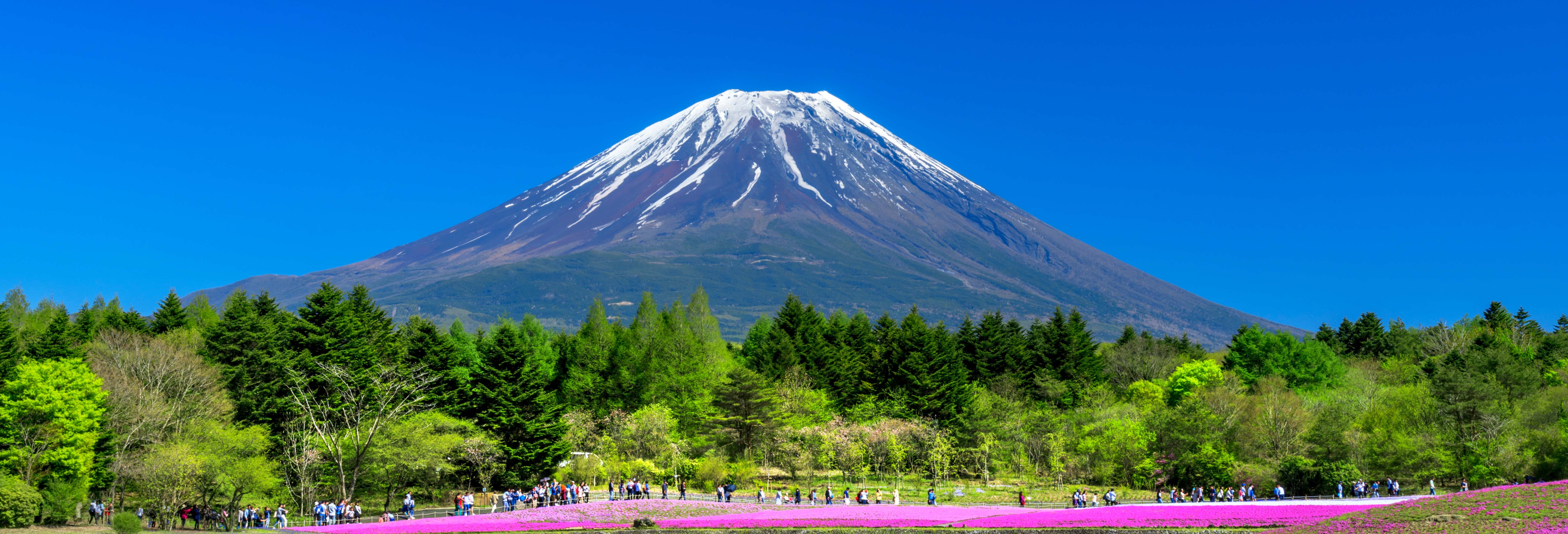 Escursioni di un giorno a Tokyo