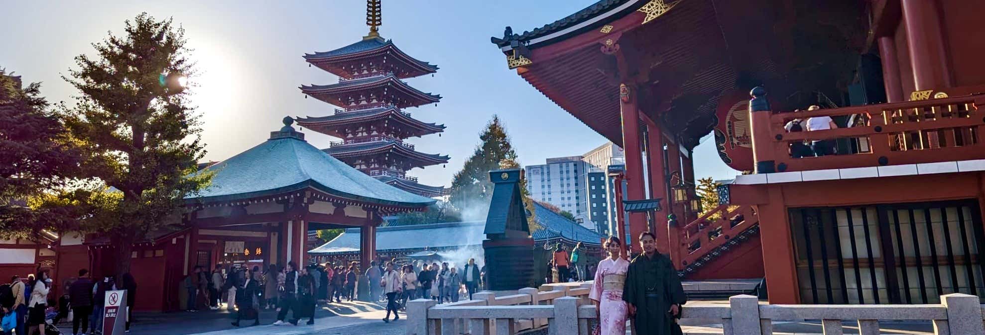 Visitas guiadas en Tokio