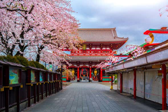 Visita guiada por Asakusa