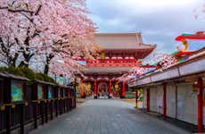 Visita guidata di Asakusa