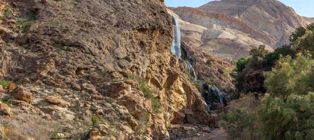 Excursión a las aguas termales de Ma’in
