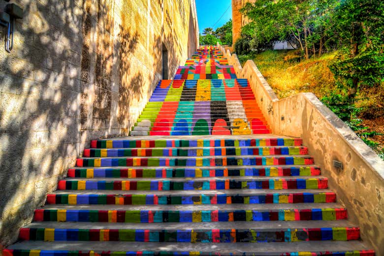 Calle Rainbow