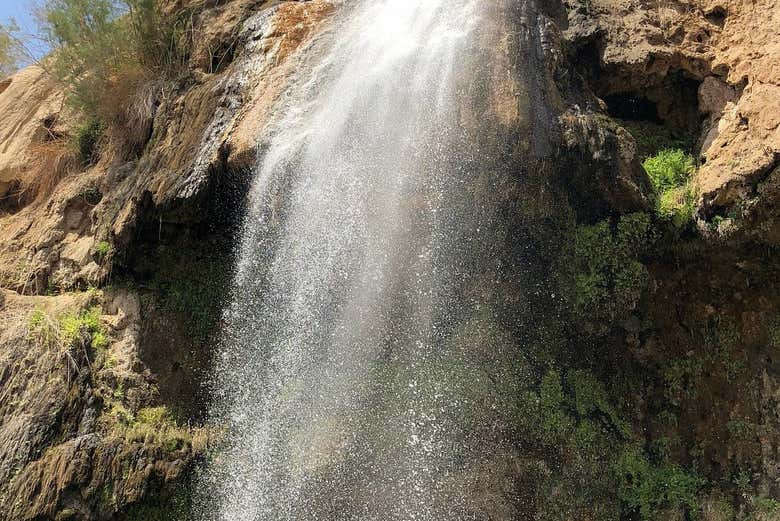 Escursione alle acque termali di Ma'in