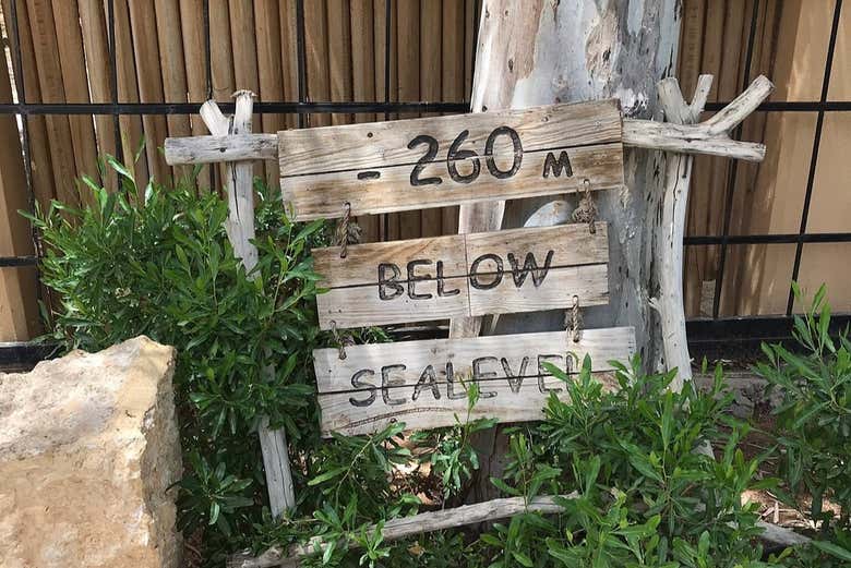 Terme nei pressi del mar Morto