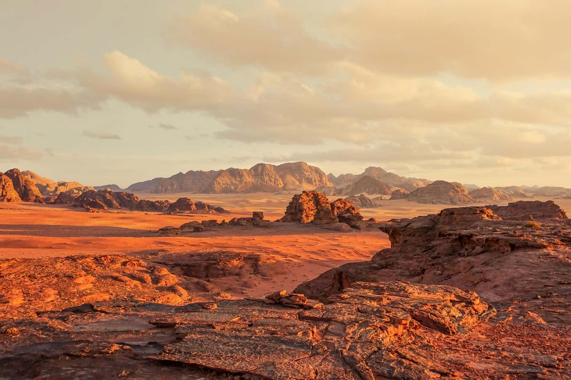 Excursión a Wadi Rum
