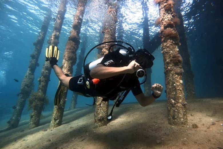 Profitez de l'activité de plongée dans la mer rouge