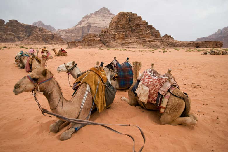 Zona desértica de Wadi Rum