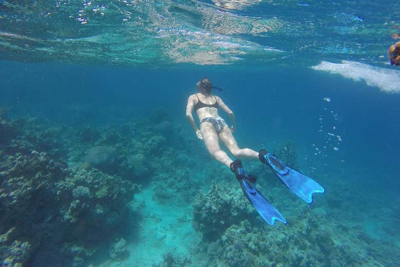 Haciendo snorkel en el Mar Rojo