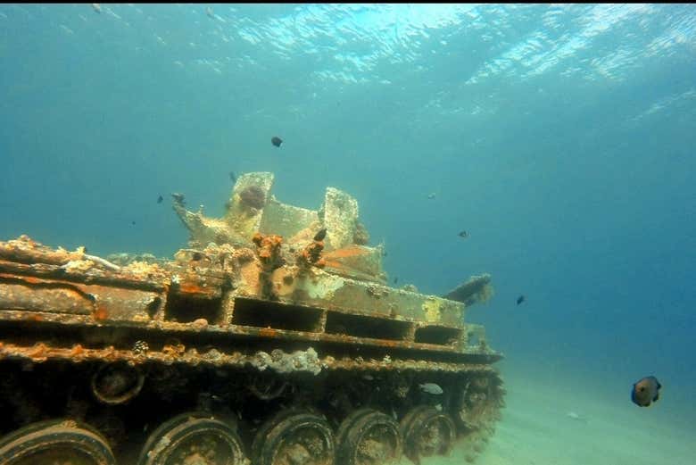 Contemplando un tanque hundido en el Mar Rojo