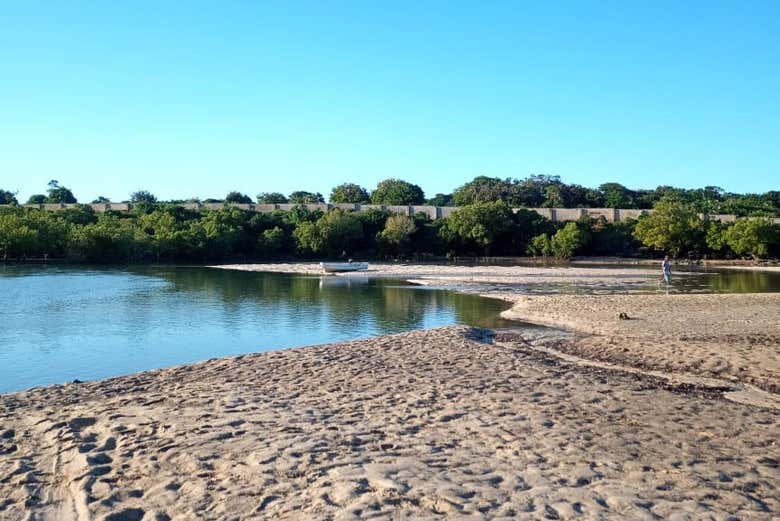 ¡Una aventura perfecta para los amantes de la naturaleza!
