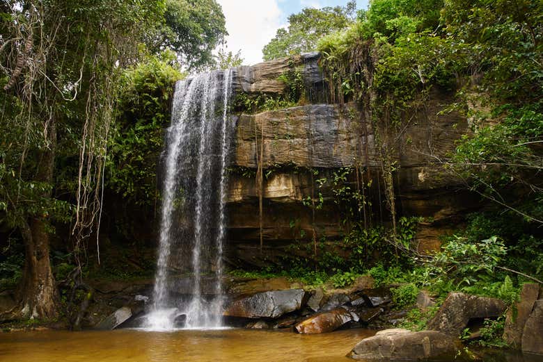 Cachoeira Sheldrick