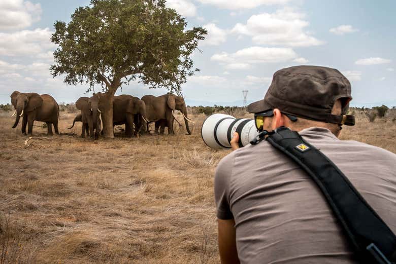 Fotografando gli elefanti del Parco Nazionale