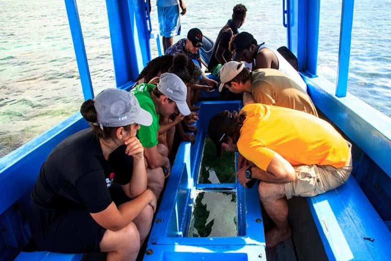 Admire the impressive sealife