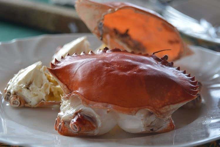 Uno dei piatti previsti per pranzo