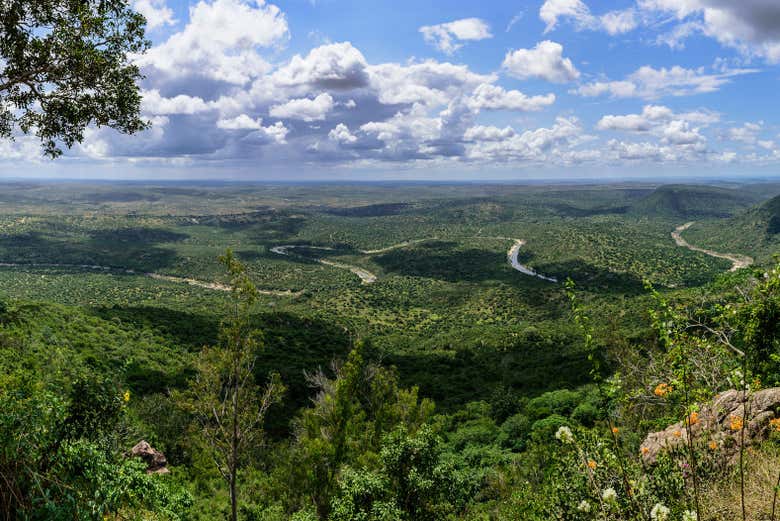 Shimba Hills