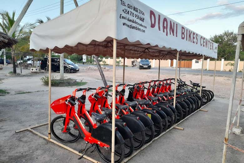 Siete pronti per un'esperienza indimenticabile?