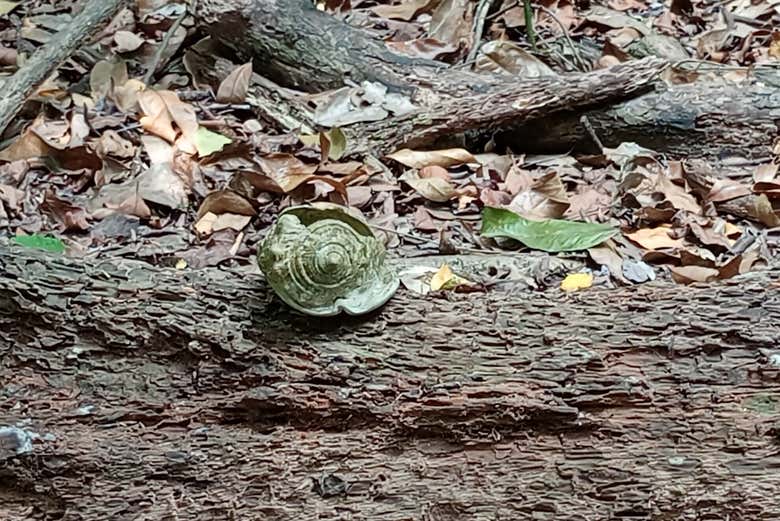 Vous découvrirez la faune et la flore de la région