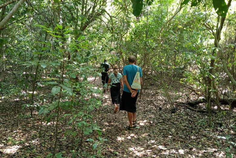 Visite de Kaya Kinondo