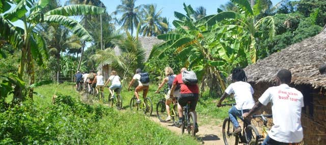 Tour en bicicleta por Diani