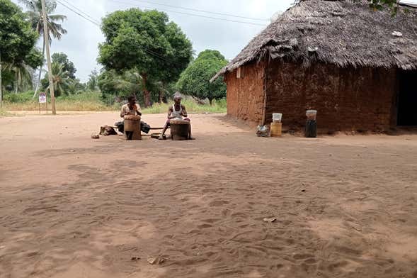 Visite de la forêt de Kaya Kinondo
