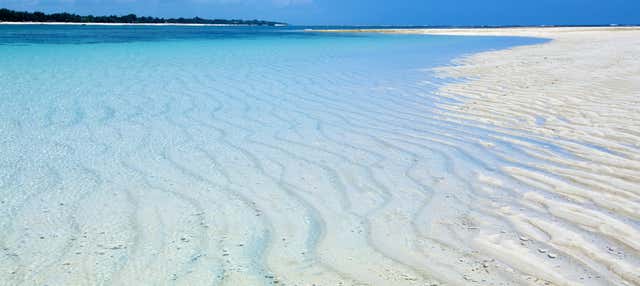Tour por la playa de Diani