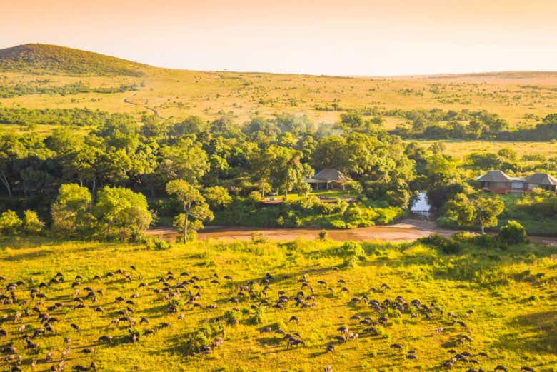 Masai Mara