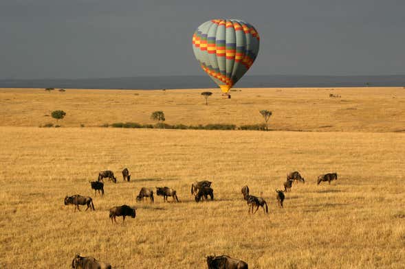 Paseo en globo por Masái Mara