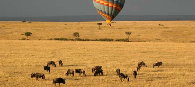 Passeio de balão por Masai Mara