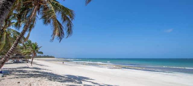 Excursão à praia de Diani