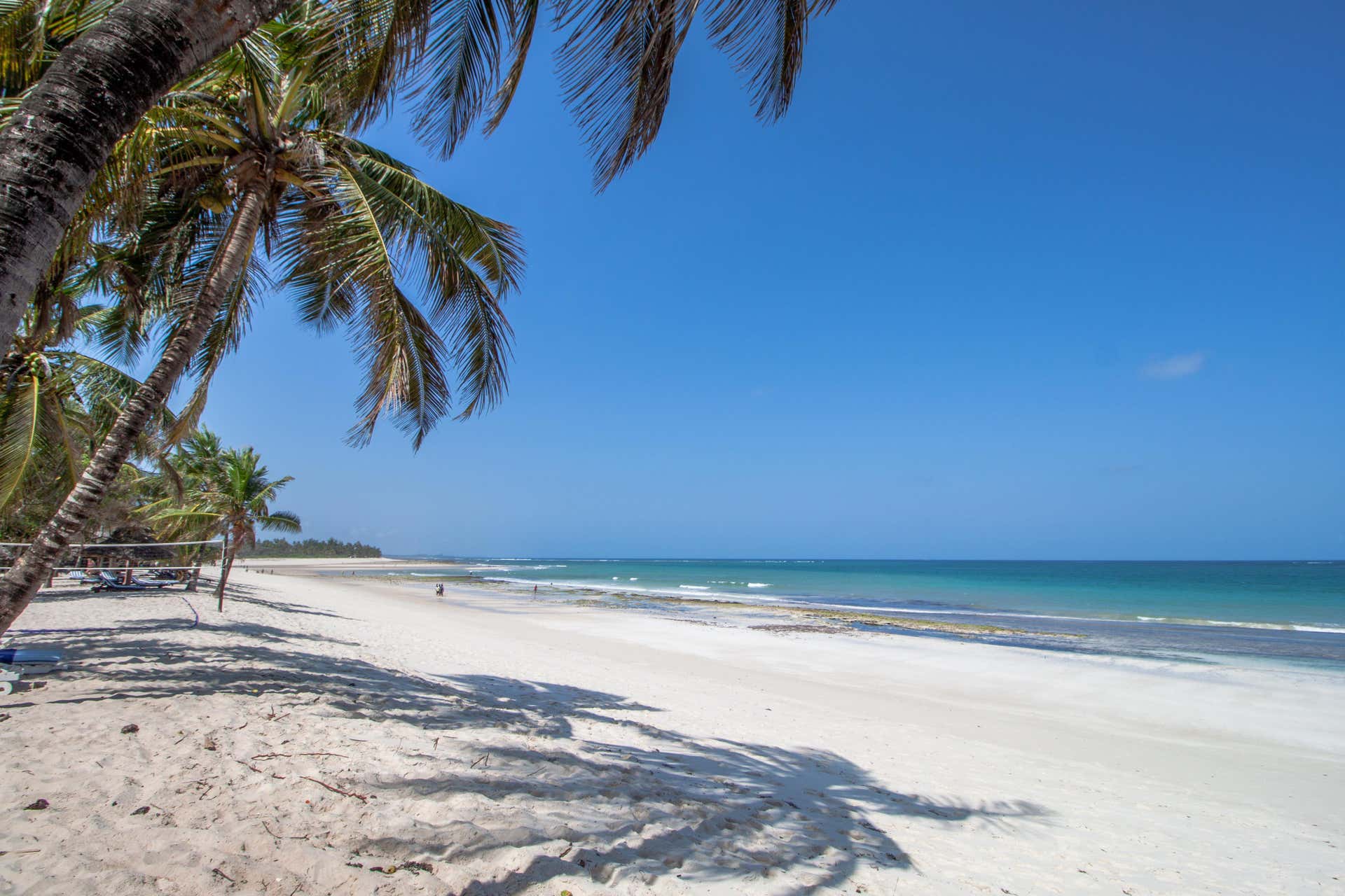 Excursión a la playa de Diani