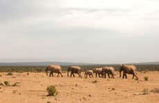 Safari privado por el Parque Nacional de Tsavo East