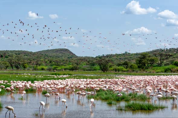 Private 2-Day Tour of Lake Bogoria