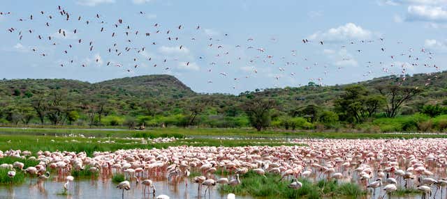 Excursion privée de 2 jours au lac Bogoria