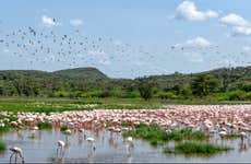 Excursión privada de 2 días al Lago Bogoria