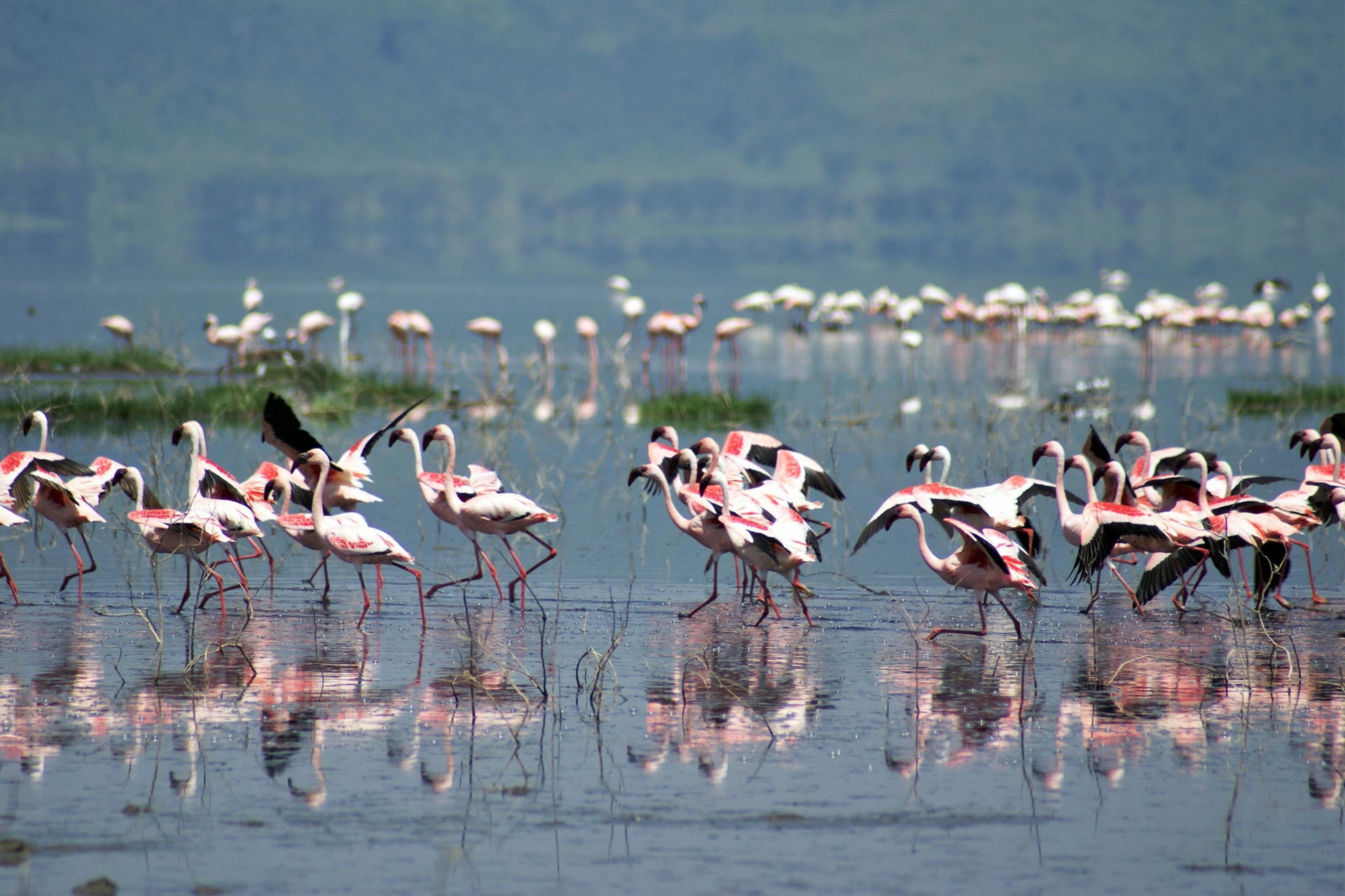 Escursione privata al lago Nakuru