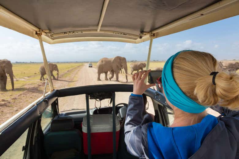 Haciendo fotos en el Parque Nacional de Amboseli