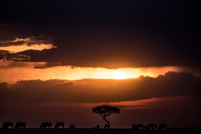 Atardecer sobre la sabana africana